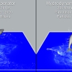 Naiad 0.6.1.43 Dynamics vs Hydrodynamics operators
