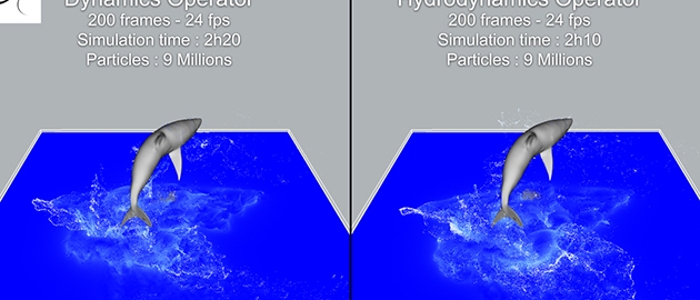 Naiad 0.6.1.43 Dynamics vs Hydrodynamics operators
